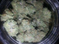FFF-GirlScoutCookies Girl Scout cookie marijuana cannabis