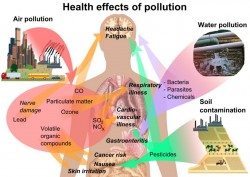 pollution health effects from Facebook