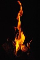 604px-Fire