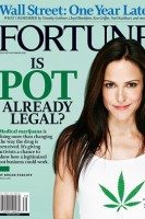 FortuneMarijuanaWeeds