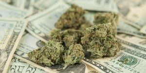 o-MARIJUANA-MONEY-facebook marijuana on money