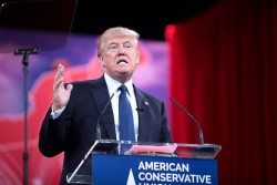 640px-Donald_Trump_by_Gage_Skidmore_3