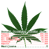 marijuana-deaths-shirt