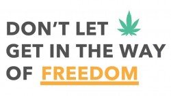 dont-let-marijuana-get-in-the-way-of-freedom