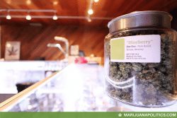 medical marijuana dispensary medical marijuana cannabis
