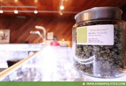 MP Logo-dispensary-medicalmarijuana (3) Medical Marijuana dispensary