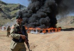 PAKISTAN-UNREST-NARCOTICS Pakistan paramilitary burns heroin
