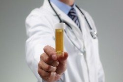Piss Test