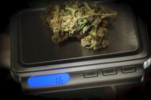 MarijuanaWeighedScale CannabisOnScale