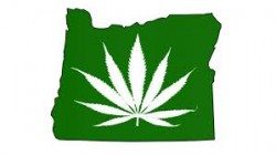Oregon leaf