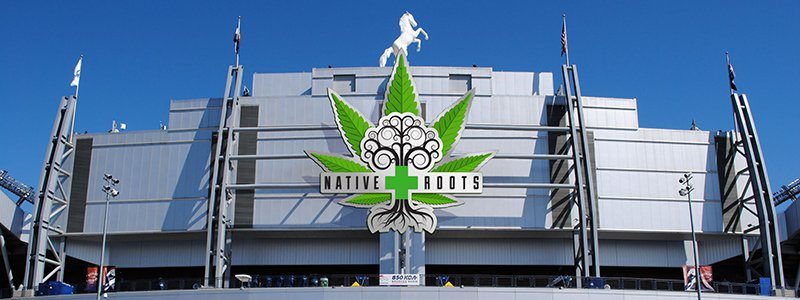 Native Roots at Mile High