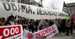 White House Joint