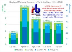 NSDUH Age Breakdown 2014