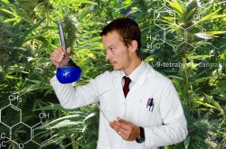 synthetic marijuana synthetic marijuana