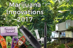 marijuana innovations marijuana innovations
