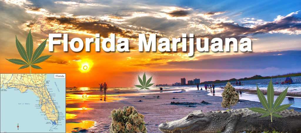 florida amendment 2 marijuana