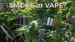 smoke or vape Smoke or Vape? The Benefits of Vaporizing Weed Over Smoking It