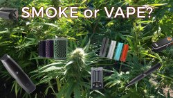 Smoke or Vape? The Benefits of Vaporizing Weed Over Smoking It