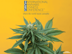 SP_Cannabis_Plant-683 Cannabis Plant ICBC Logo