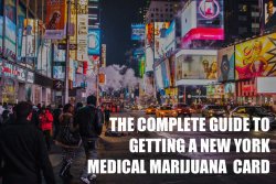 Weed Certification in New York Weed Certification in New York