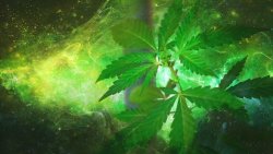 Cosmic Marijuana Pixabay-683 Cosmic Cannabis