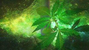 Cosmic Marijuana Pixabay-683 Cosmic Cannabis