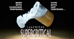 web_supercrictical_lagunitas_cannabis-hops-header SuperCritical