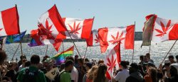 Canadian global march cannabis flags-683 Canada Global Cannabis March