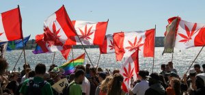 Canadian global march cannabis flags-683 Canada Global Cannabis March
