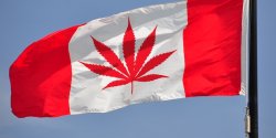 canadian cannabis flag