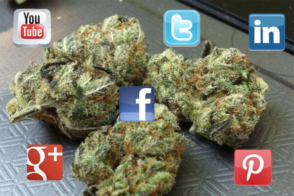weed-social media