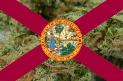 Florida Sidesteps Medicinal Marijuana Progression Florida Sidesteps Medicinal Marijuana Progression